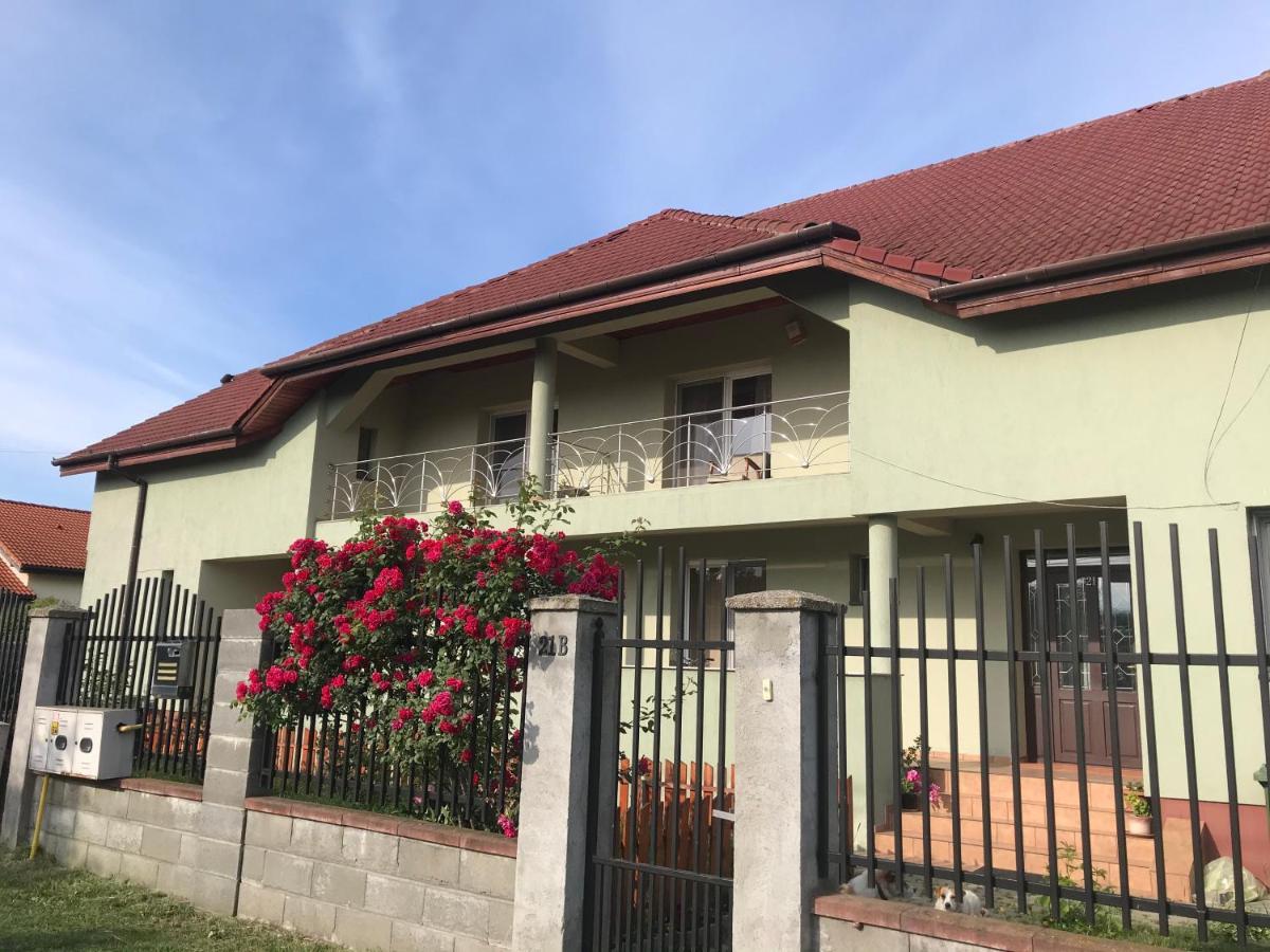 Casa Vio Vila Timişoara Exterior foto