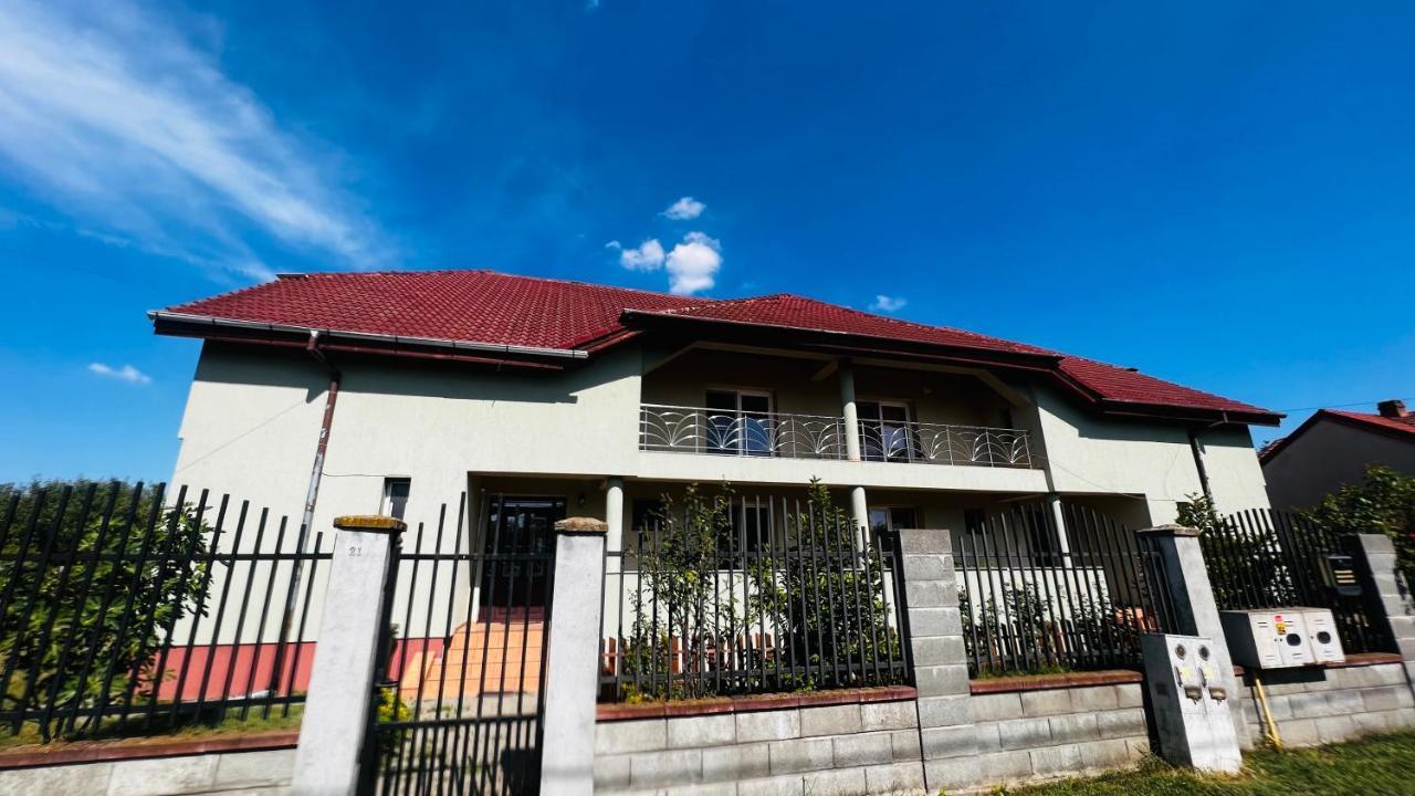 Casa Vio Vila Timişoara Exterior foto