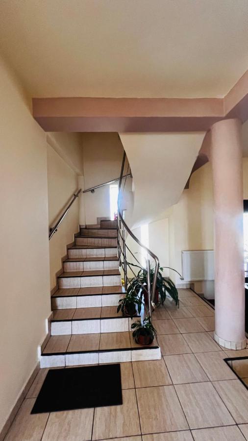 Casa Vio Vila Timişoara Exterior foto