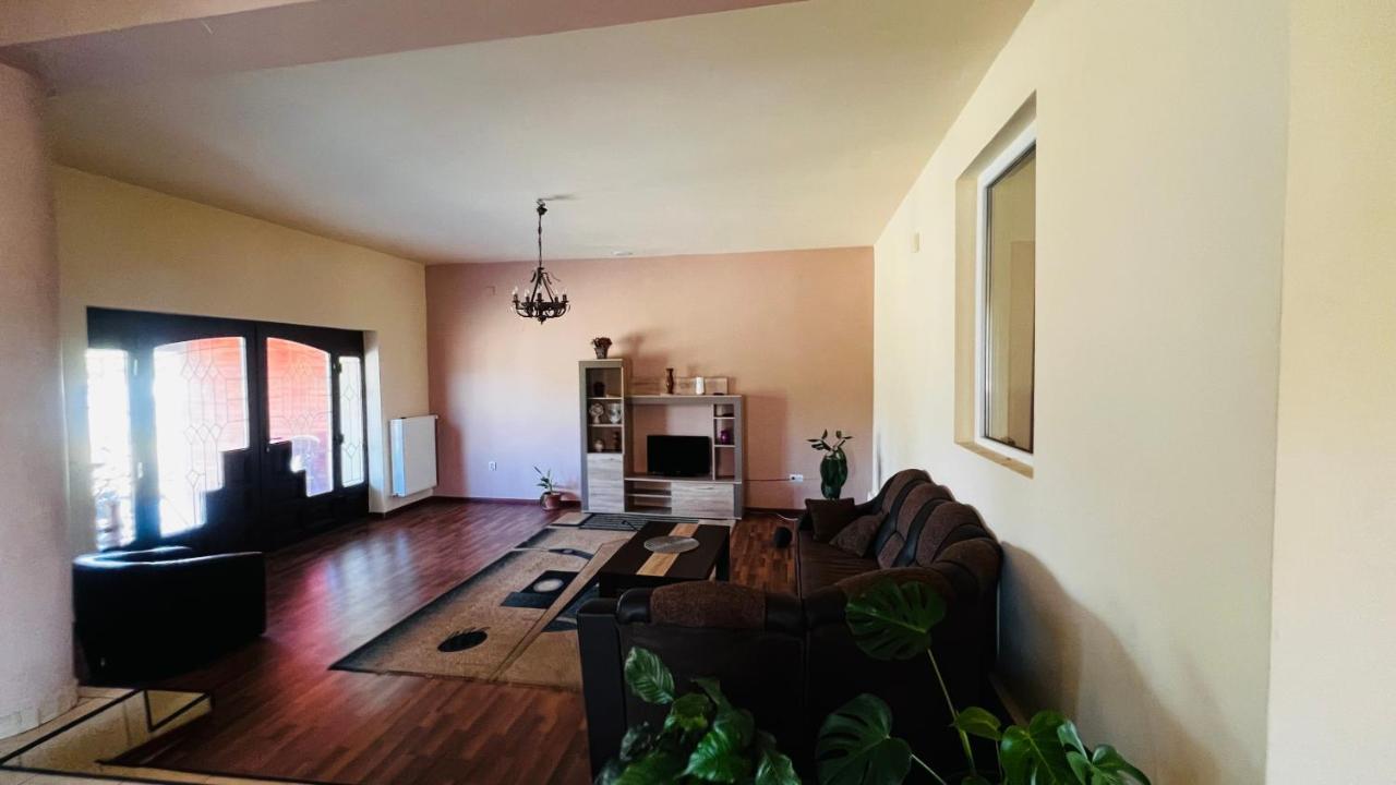 Casa Vio Vila Timişoara Exterior foto