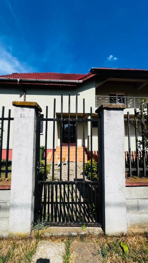 Casa Vio Vila Timişoara Exterior foto
