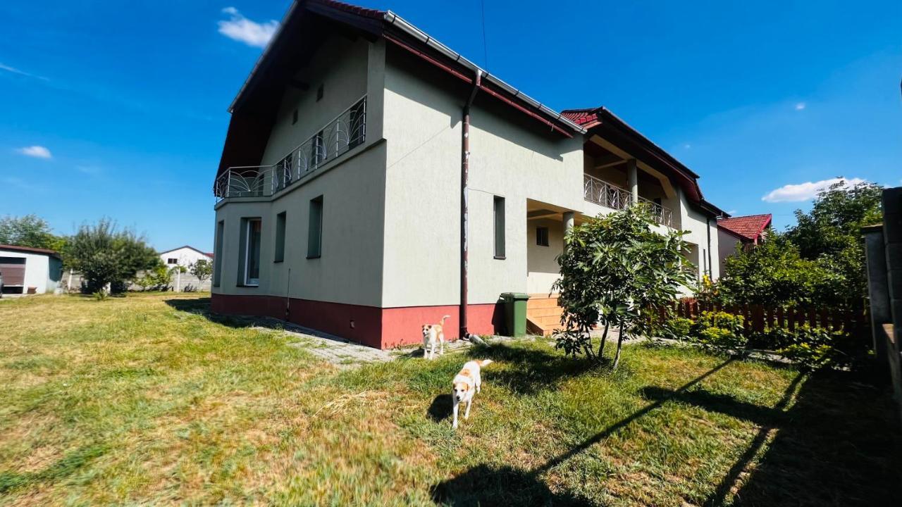 Casa Vio Vila Timişoara Exterior foto