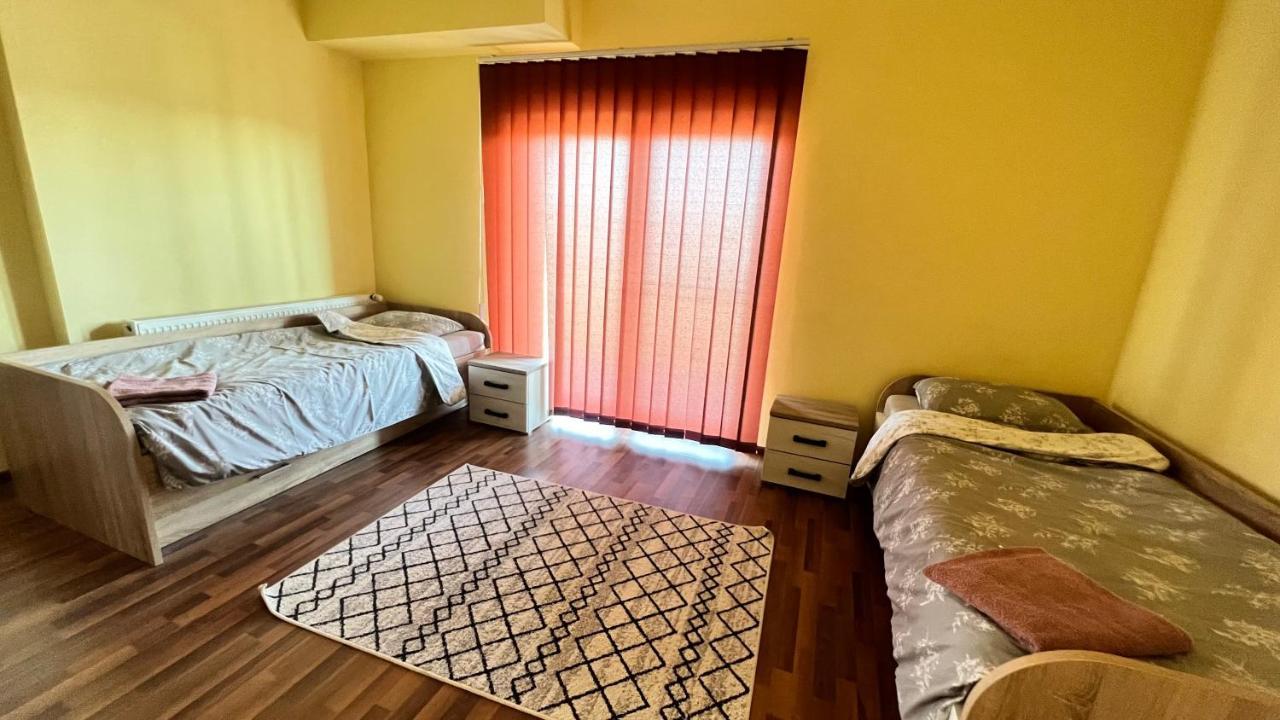 Casa Vio Vila Timişoara Exterior foto