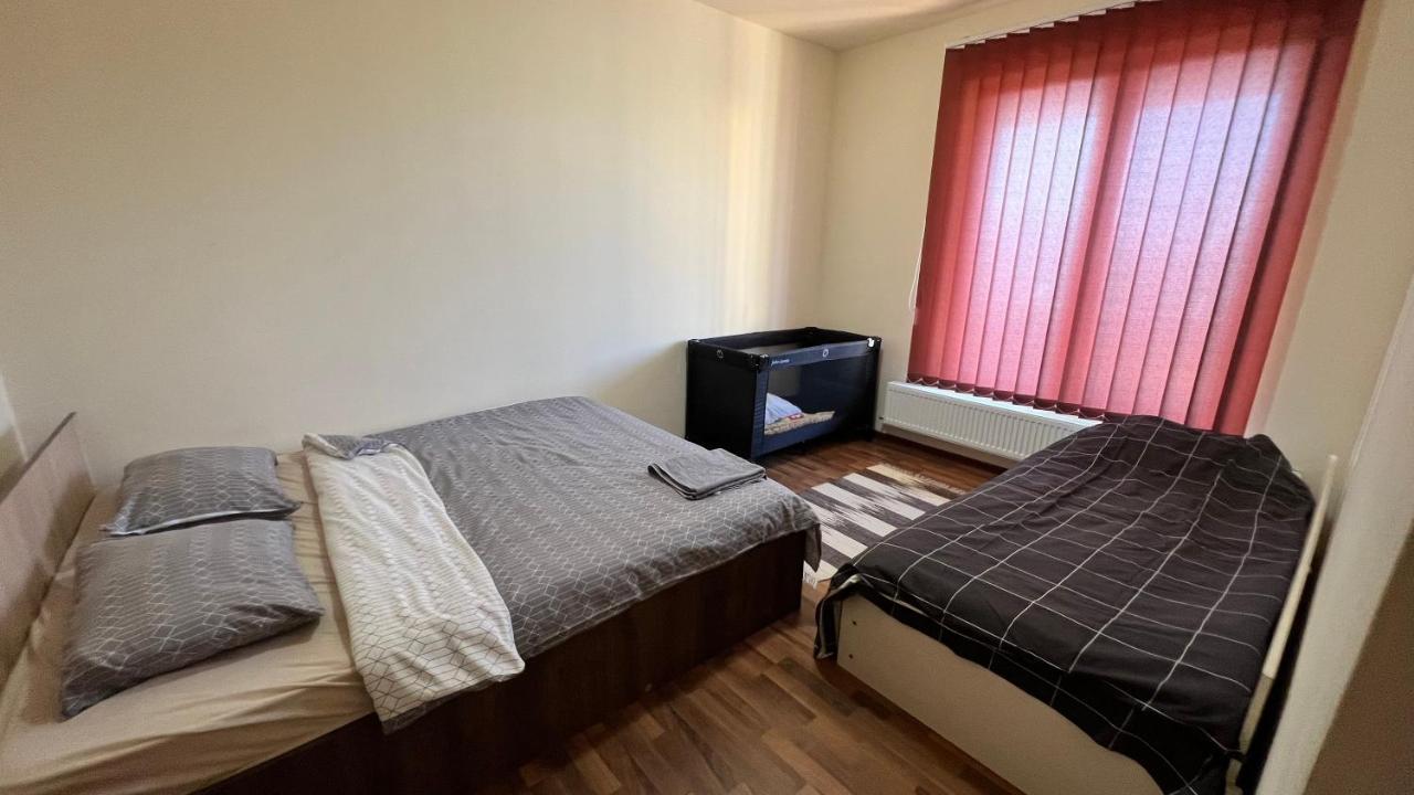 Casa Vio Vila Timişoara Exterior foto