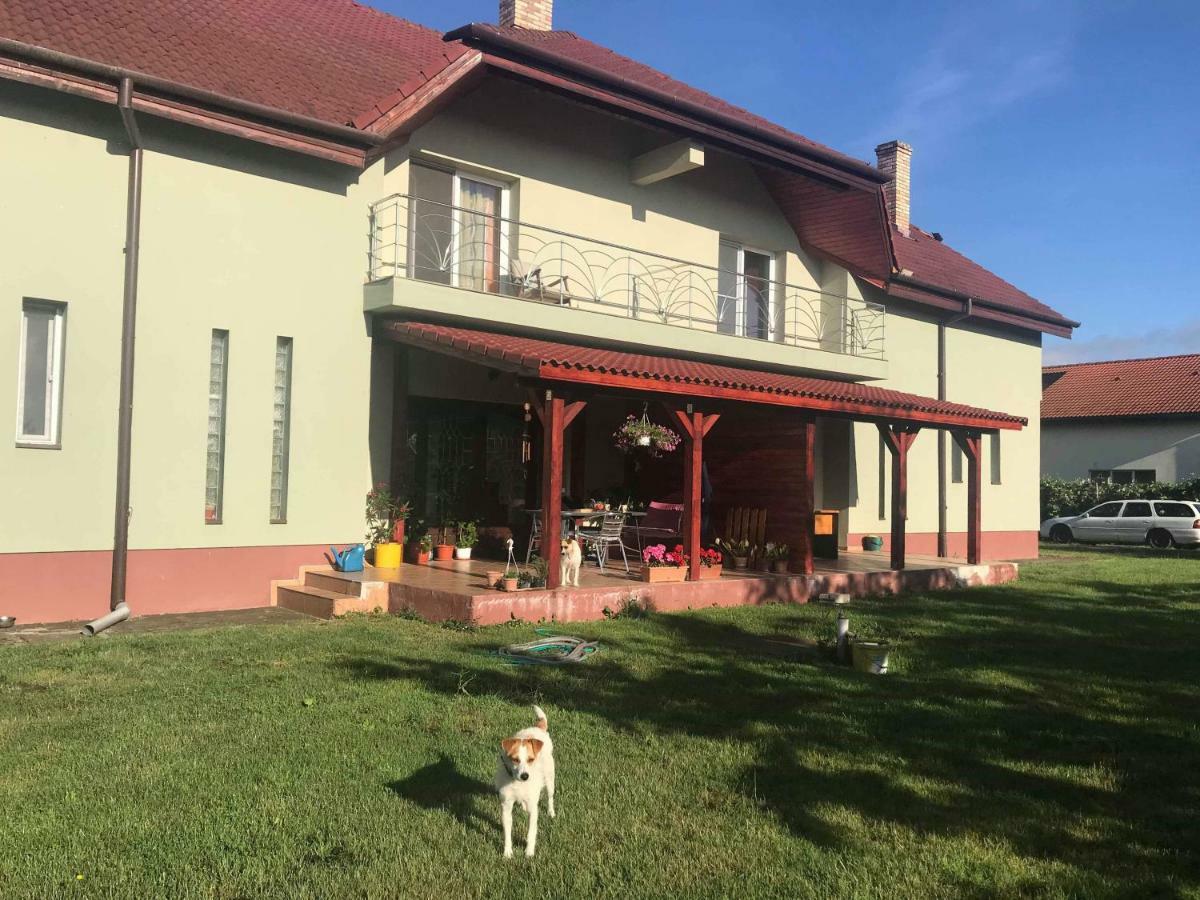 Casa Vio Vila Timişoara Exterior foto
